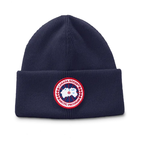 ARCTIC DISC TOQUE HAT